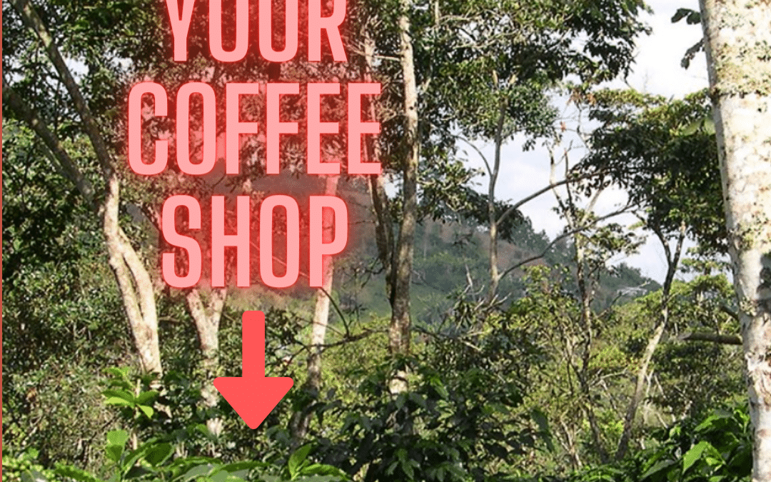 Deforestation-Free coffee